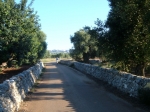 DSCF9167.jpg