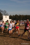 IMG_3210.jpg