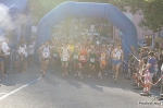 pinete_220810_morselli_0158.jpg