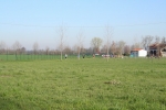 IMG_0080.JPG