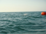 DSC03125.JPG