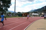 IMG_8384.jpg