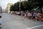 monopoli_2010_annoscia_0132.jpg
