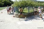 navazzo_2010_morselli_0132.jpg