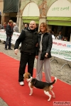 novellara_avis__stefano_morselli_210310_0344.jpg