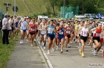 giro_della_pietra_2010_stefano_morselli0072.jpg