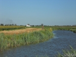 sangiovannideldosso_180710_armando_bertolasi_0091.jpg