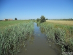 sangiovannideldosso_180710_armando_bertolasi_0205.jpg