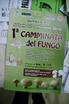Filename=sanrocco_2010_morselli_300710_0020.jpg
Filesize=334KiB
Dimensions=1024x1540
Date added=Jul 31, 2010 sanrocco_2010_morselli_300710_0020.jpg