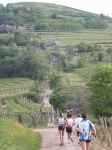 IMGP1762.JPG