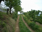 IMGP1823.JPG