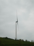 IMGP1881.JPG