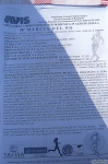 suzzara_stefano_morselli_2010_0019.jpg