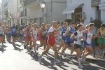 albto_370.jpg