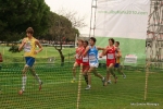 Filename=Immagine_3543.jpg
Filesize=156KiB
Dimensions=992x662
Date added=Dec 13, 2010 Immagine_3543.jpg