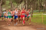Filename=Immagine_3693.jpg
Filesize=156KiB
Dimensions=992x662
Date added=Dec 13, 2010 Immagine_3693.jpg