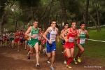 Filename=Immagine_3695.jpg
Filesize=137KiB
Dimensions=992x662
Date added=Dec 13, 2010 Immagine_3695.jpg