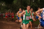 Filename=Immagine_3696.jpg
Filesize=116KiB
Dimensions=992x662
Date added=Dec 13, 2010 Immagine_3696.jpg