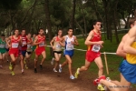 Filename=Immagine_3697.jpg
Filesize=122KiB
Dimensions=992x662
Date added=Dec 13, 2010 Immagine_3697.jpg
