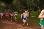 Filename=Immagine_3699.jpg
Filesize=126KiB
Dimensions=992x662
Date added=Dec 13, 2010 Immagine_3699.jpg