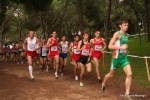 Filename=Immagine_3700.jpg
Filesize=144KiB
Dimensions=992x662
Date added=Dec 13, 2010 Immagine_3700.jpg