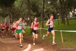 Filename=Immagine_3701.jpg
Filesize=146KiB
Dimensions=992x662
Date added=Dec 13, 2010 Immagine_3701.jpg