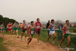 Filename=Immagine_3715.jpg
Filesize=99KiB
Dimensions=992x662
Date added=Dec 13, 2010 Immagine_3715.jpg