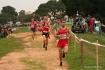 Filename=Immagine_3733.jpg
Filesize=139KiB
Dimensions=992x662
Date added=Dec 13, 2010 Immagine_3733.jpg