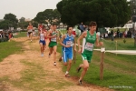 Filename=Immagine_3739.jpg
Filesize=141KiB
Dimensions=992x662
Date added=Dec 13, 2010 Immagine_3739.jpg