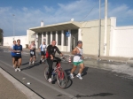 bari_342.jpg