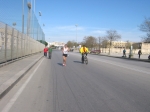 bari_391.jpg
