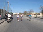 bari_446.jpg