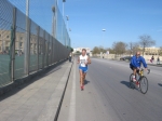 bari_466.jpg