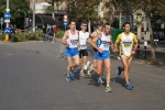 DSC02646.jpg