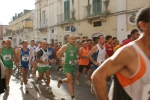 DSC08326.jpg