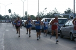 DSC08447.jpg