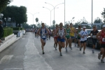 DSC08523.jpg