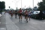 DSC08528.jpg