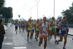 DSC08597.jpg