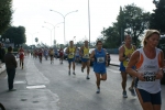 DSC08618.jpg