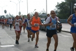 DSC08678.jpg