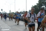 DSC08694.jpg