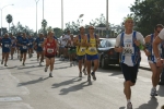DSC08813.jpg