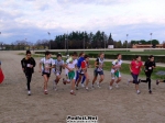 P1260051.jpg