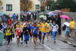 Filename=Immagine_2409.jpg
Filesize=138KiB
Dimensions=1000x667
Date added=Nov 01, 2010 Immagine_2409.jpg