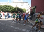 lato_238.jpg