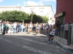 lato_240.jpg