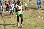 DSC_9933.jpg
