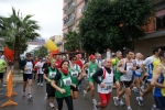 palto_268.jpg