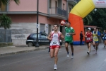 palto_547.jpg